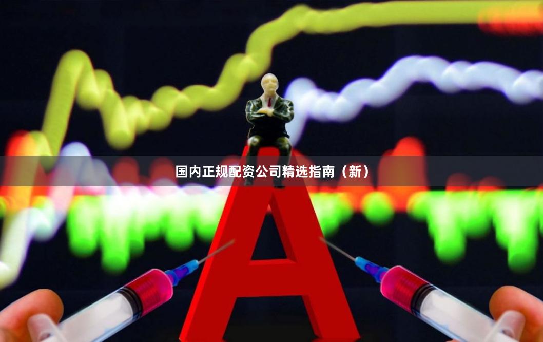 国内正规配资公司精选指南（新）